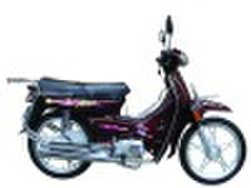 110cc Cub EF110-3