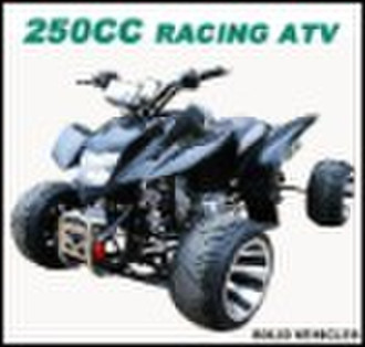 250cc ATV Гонки