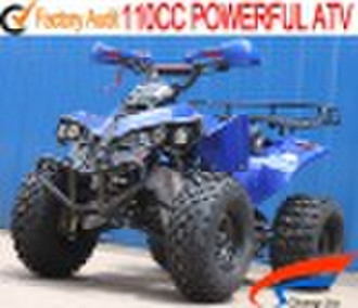 2010 Новые популярные 110cc ATV (CS-A110G)