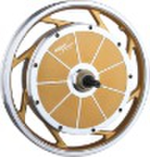 e-bike hub motor