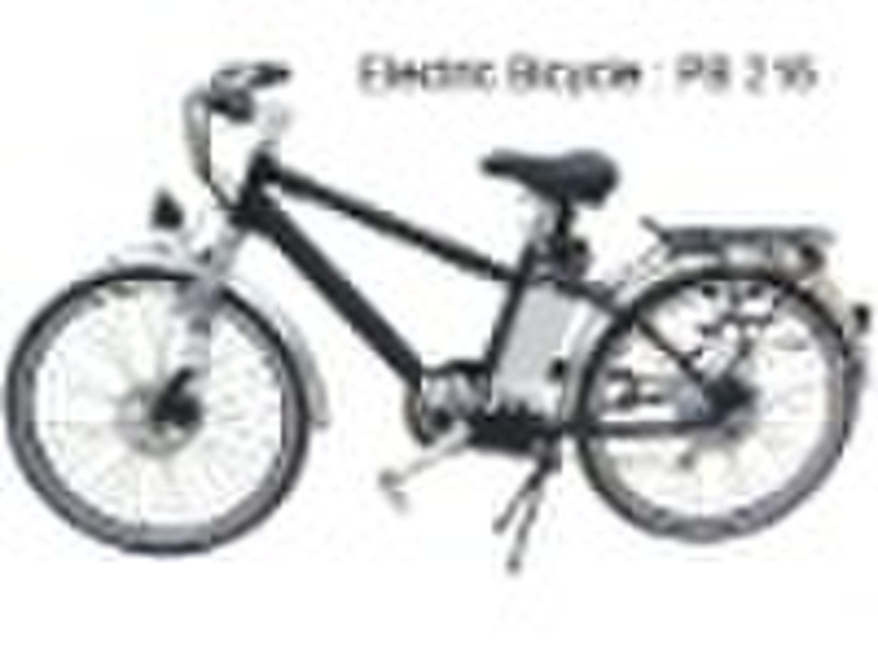 Elektro-Fahrrad