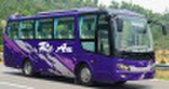 8 meters of VIP BUS 6860 (China Supplier)