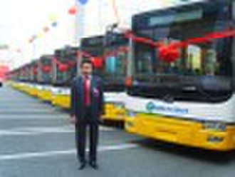 12meters China VIP LNG Stadtbus 6121