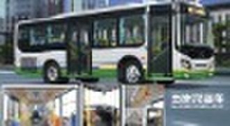 VIP городской автобус 6910