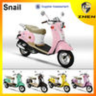 ZNEN MOTOR -- C Snail  GAS  Scooter  (EEC, EPA, DO