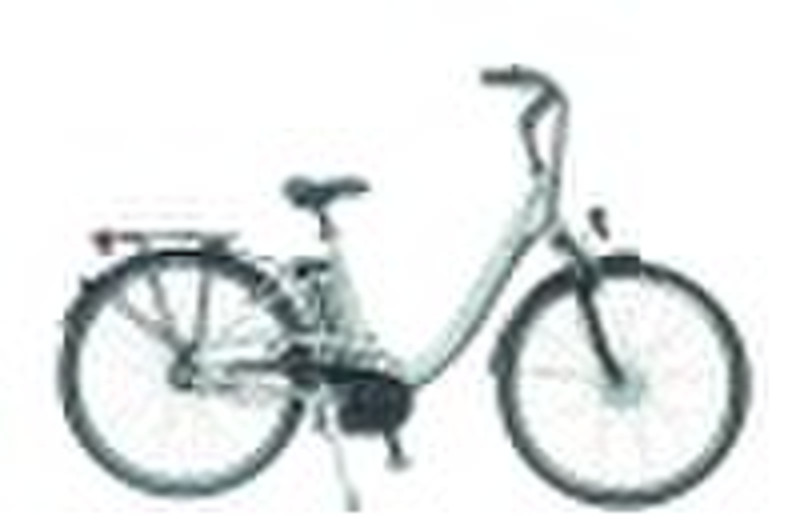 540S9 aktive Li-Ionen-Batterie Elektro-Fahrrad-