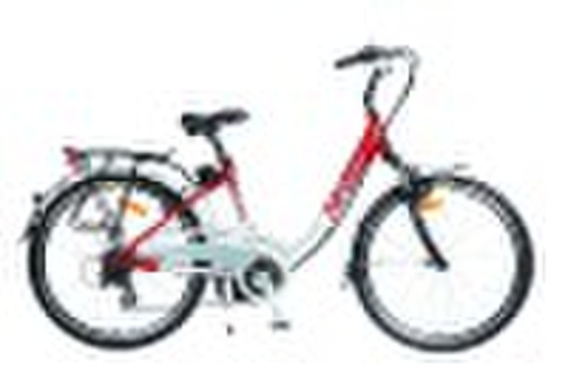 543S6 Li-Ionen-Batterie Elektro-Fahrrad aktiv