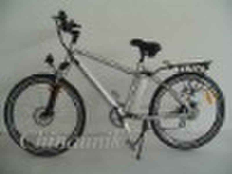 Electric Bicycle