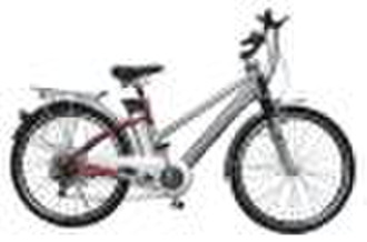 Electric Bike