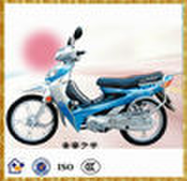 100-B Future Light, 48cc CUB, 50cc cub,100cc cub