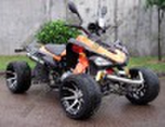 гоночных ATV 250cc