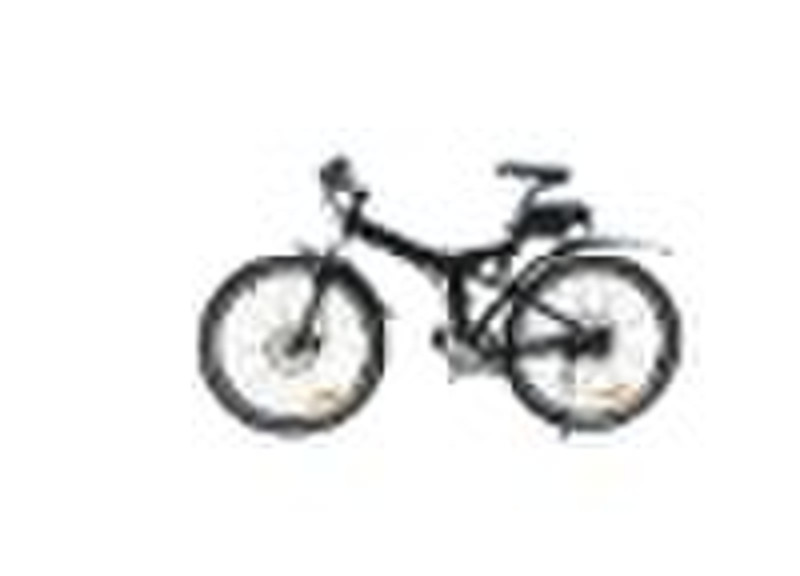 good price electric bike for you