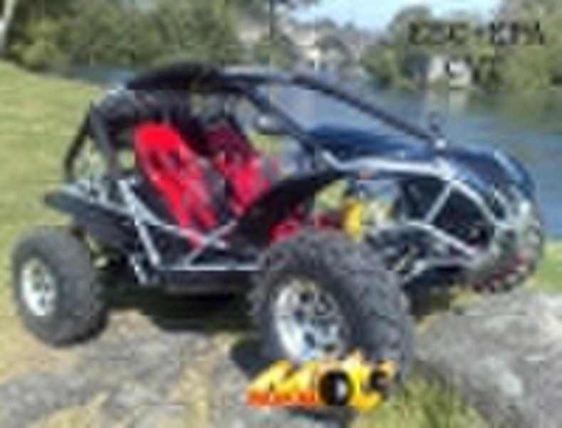 Buggy Strand 500cc CVT Go Kart EWG buggy (JHG500-0