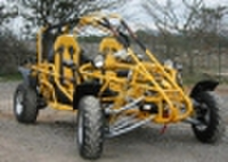 800cc EWG Go-Kart-Rennbuggy (JHG800-019)