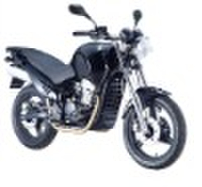 New 300cc/350cc Water Cool Sport Bike 2009 Model