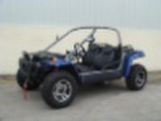 300cc Leisure Buggy For Year 2009 With EEC&COC