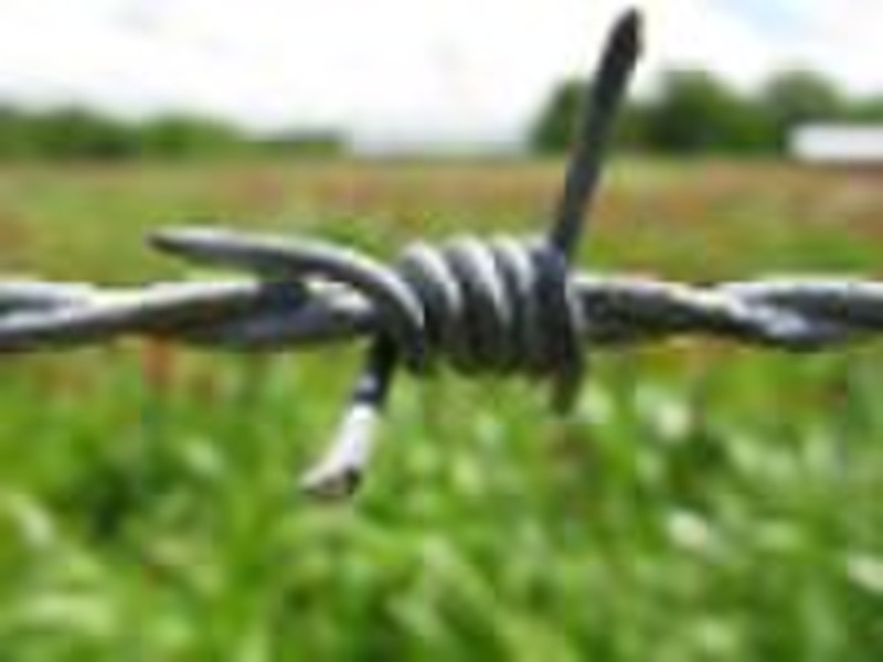 barbed wire(1.8mm-2mm-2.2mm-2.4mm-2.5mm-2.7mm-2.8m