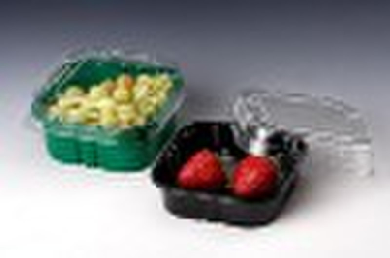 plastic food container