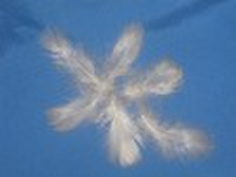 washed white goose feather4-6cm
