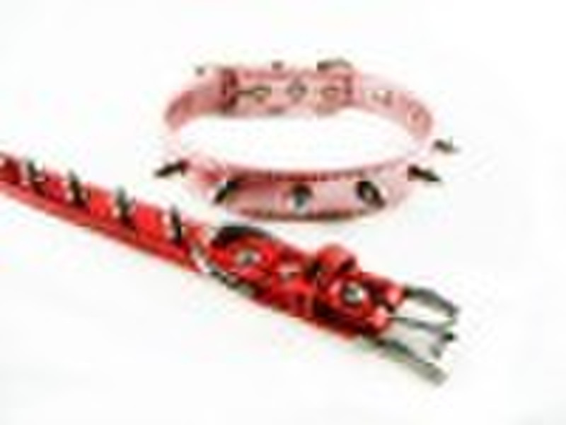 Spiked dog collar