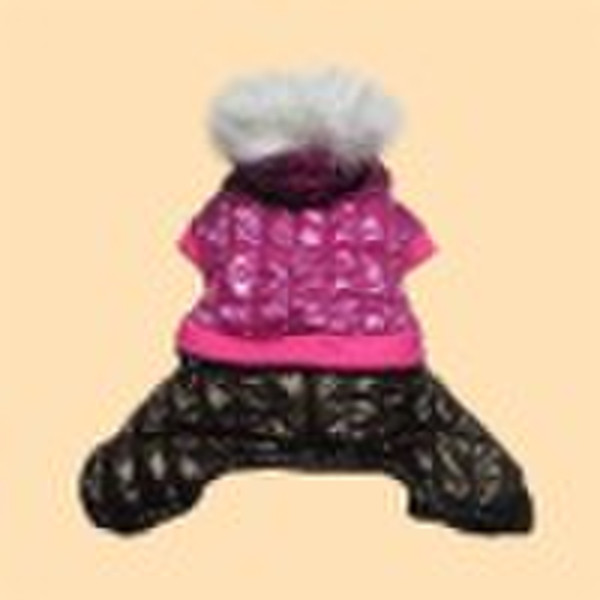 dog clothes