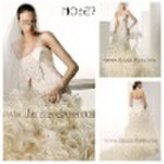 2010 new style elegant N0627 bridal dress
