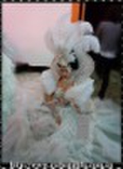 Award-Winning Fashion Show Ball Gown Bridal Gown C