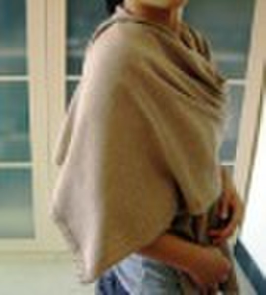 女士们的时装大的披肩