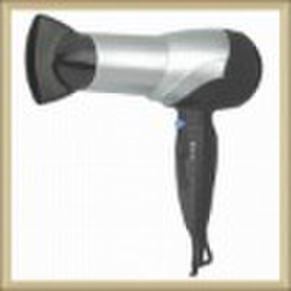 Professional Hair Dryer