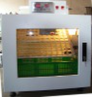 Egg incubator-ELYE-1