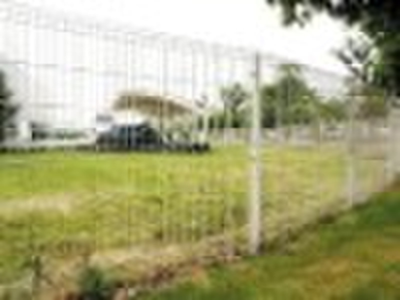 chain link  wire mesh fence