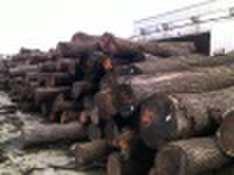 Walnut saw wood log