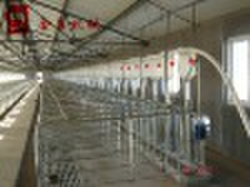 auto feeding system for pigs