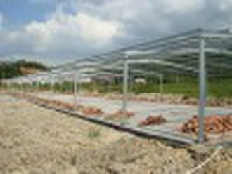 Steel Construction for Poultry & Pig