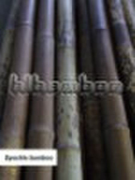 Природные зернистости бамбуковый шест 2,25 "(HL-СПДСБ)