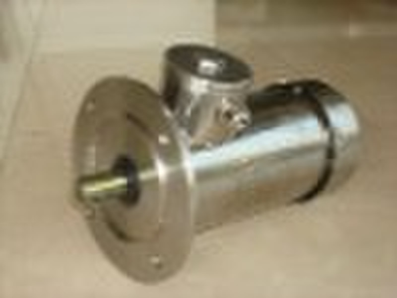 IEC STAINLESS STEEL MOTOR