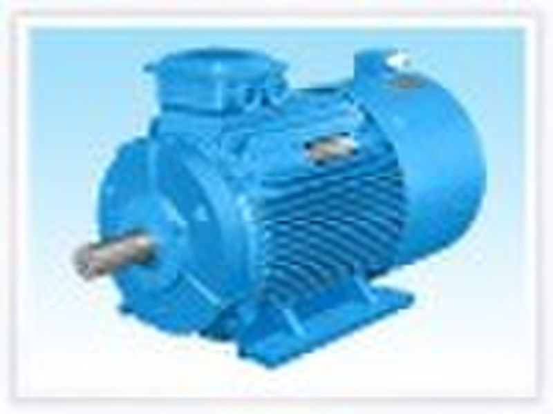 Electric Motor