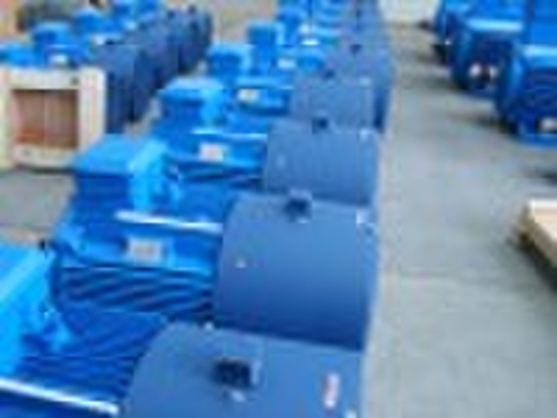 YZP frequency converted motor