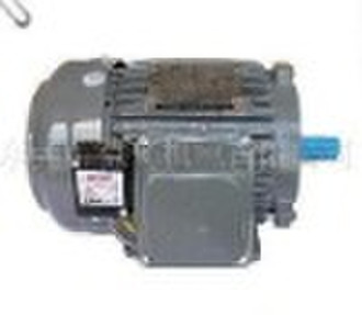 TECO brake motor