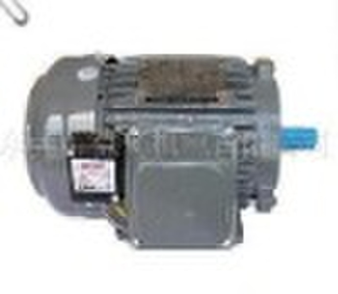 TECO brake motor