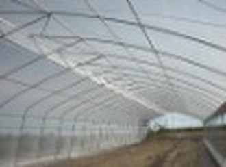 Fixed Roof Vent Greenhouse