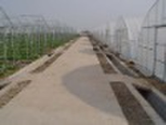Tunnel film greenhouse
