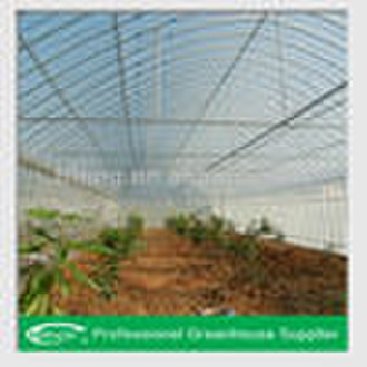 Fixed Roof Vent Greenhouse