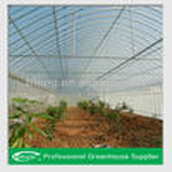 Fixed Roof Vent Greenhouse