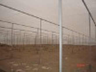 Insect net greenhouse