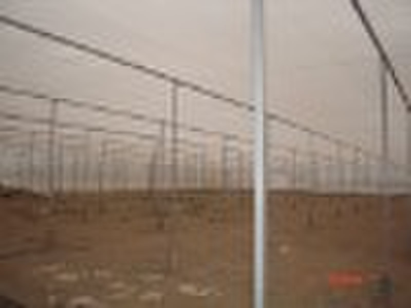 Insect net greenhouse