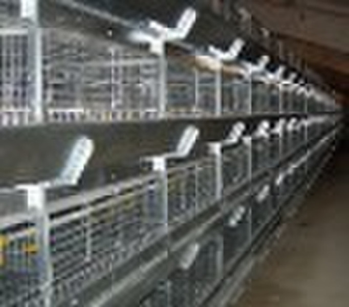 layer cage, automatic chicken cage, poultry equipm