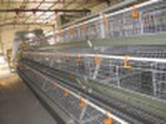 layer cage, automatic chicken cage, poultry equipm