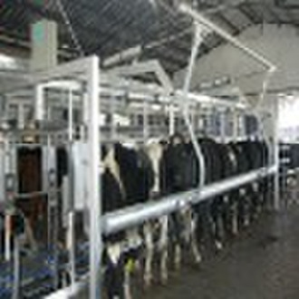 Herringbone Quick-release Milking Parlor