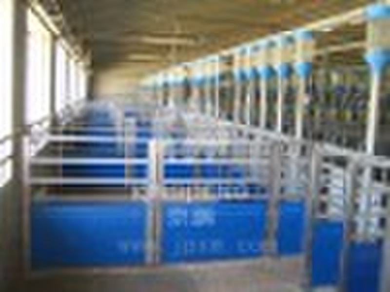 Automatic Dry Feeding System